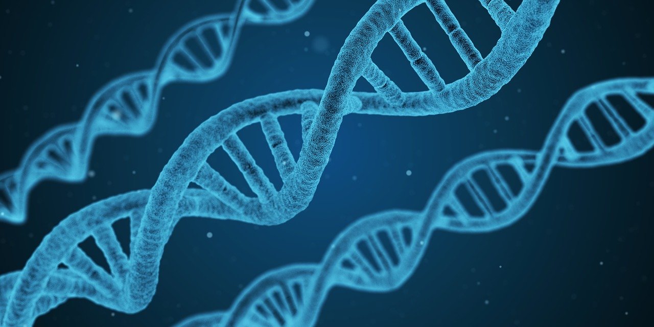 Grafika ilustracyjna – DNA